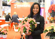 Sirekit Mol from Beekenkamp with a new variety from the Superstar series. It is another number, pon 190, and is in the pipeline.